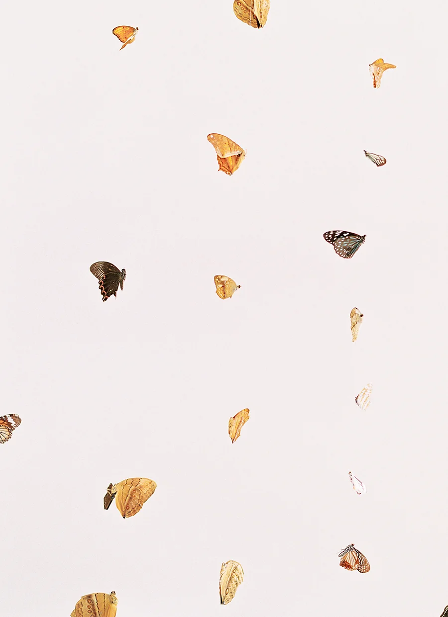 OTOGRAPHY_SHOP GOSSAMER_BUTTERFLY_LOS ANGELES WEDDING INSPIRATION-246.jpg