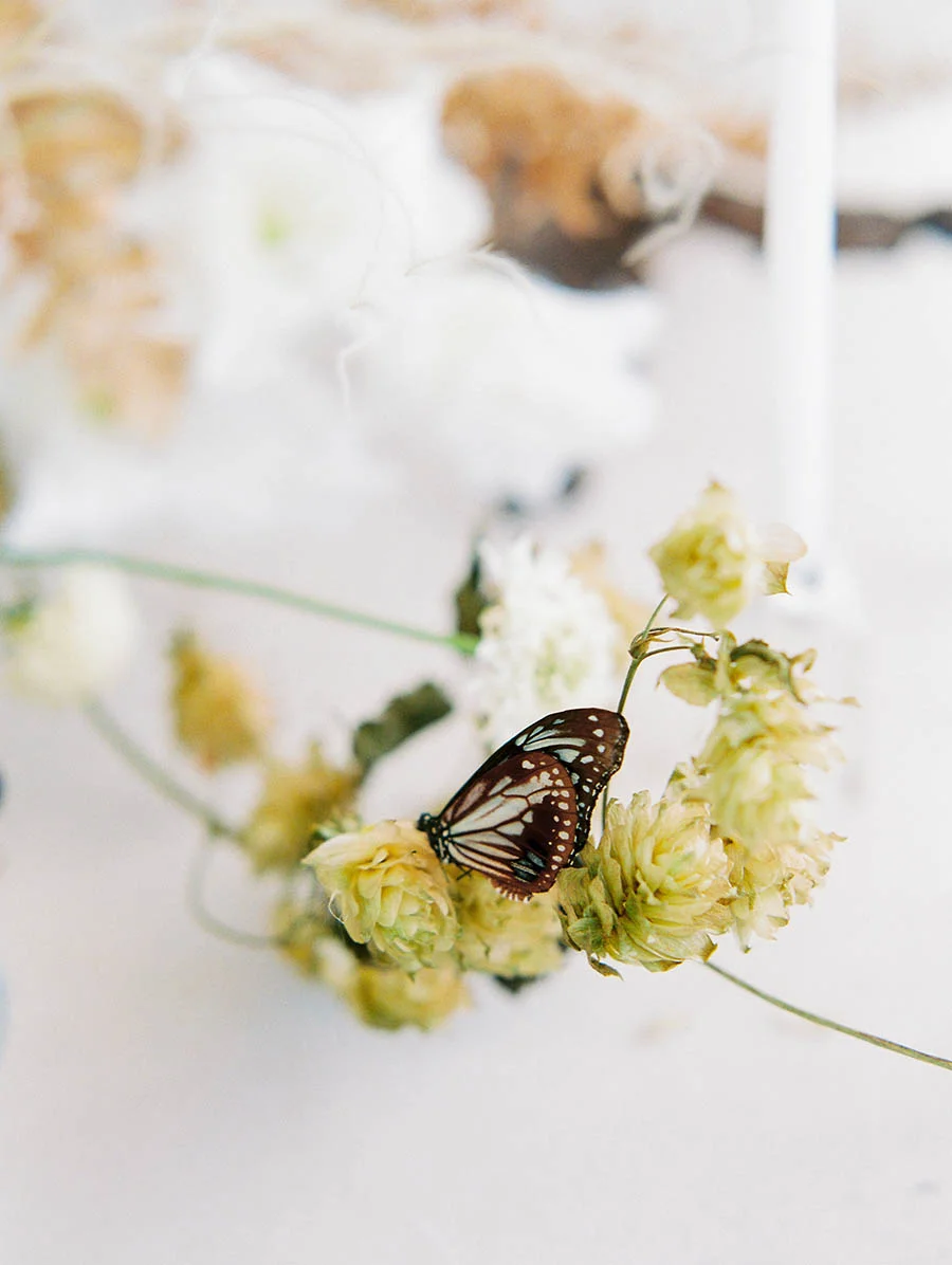 OTOGRAPHY_SHOP GOSSAMER_BUTTERFLY_LOS ANGELES WEDDING INSPIRATION-187.jpg