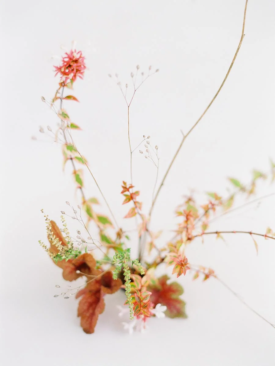 SALLY PINERA_FLORAL STORY_EMMA NATTER_NYC-19.jpg