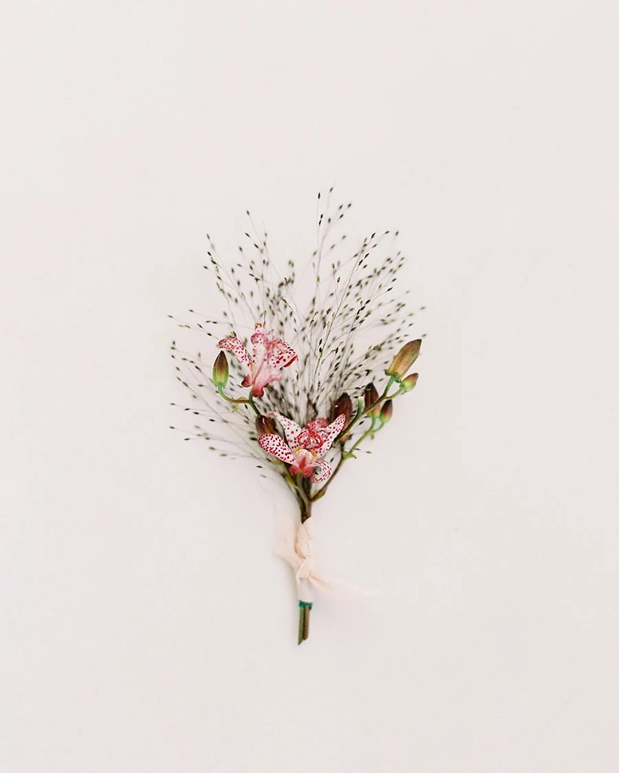 SALLY PINERA_BESPOKEN NYC ELOPEMENT-115.jpg