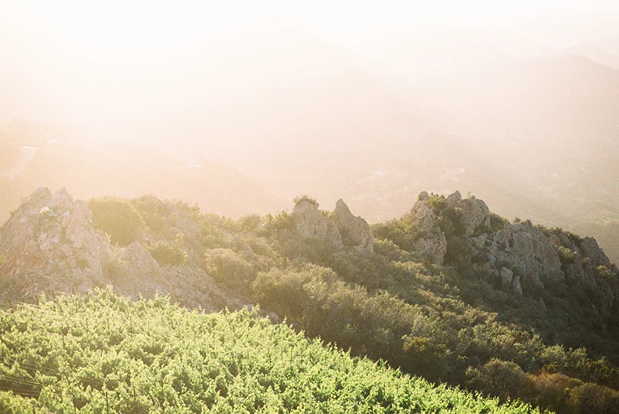 SALLY PINERA_MALIBU ROCKY OAKS WEDDING PHOTOGRAPHY_MALIBU_MARISSA AND PAUL-365.jpg