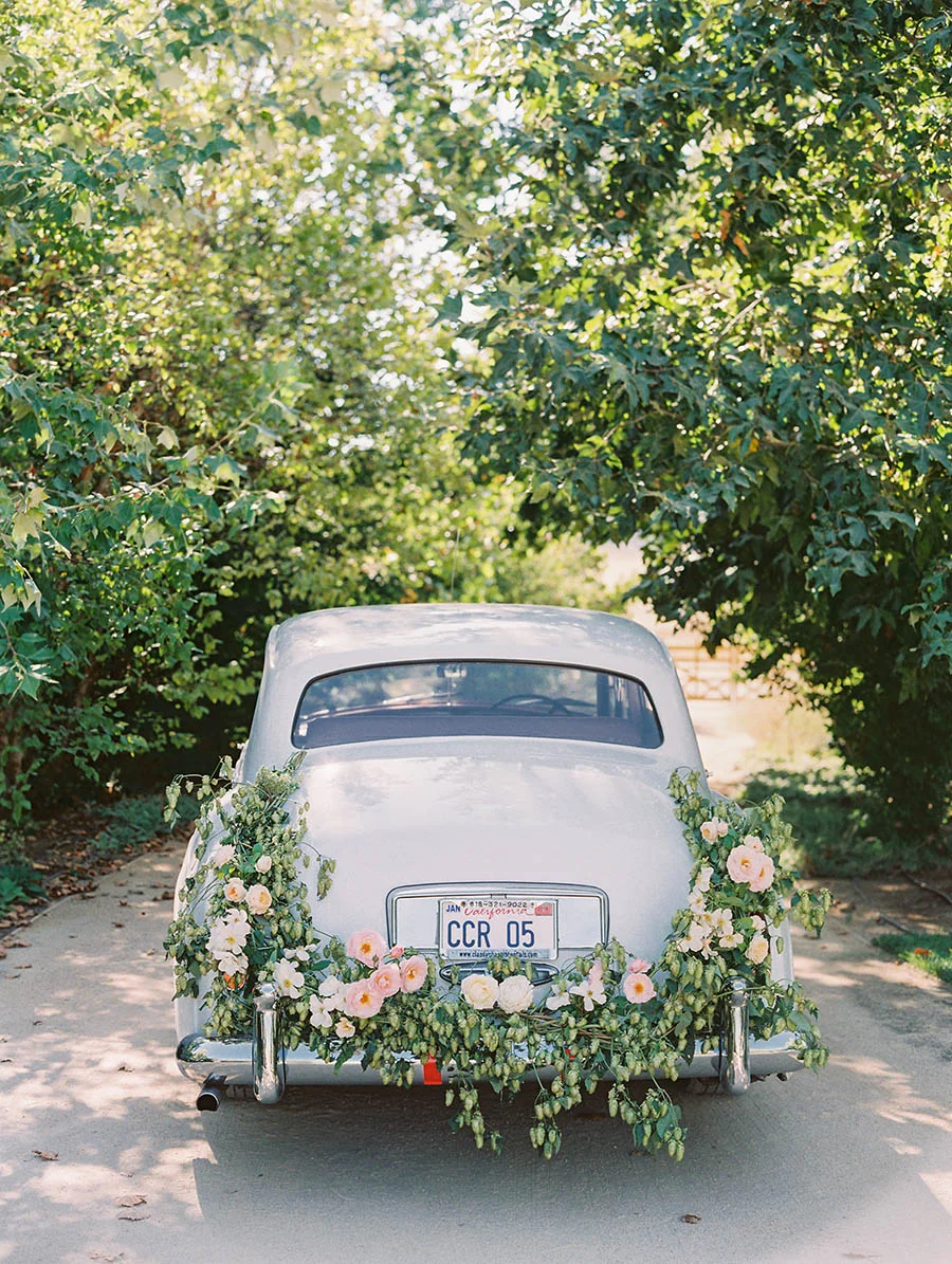 SALLY PINERA_KESTREL PARK_SHELLY AND DENNIS_ENGAGEMENT PHOTOS-207.jpg