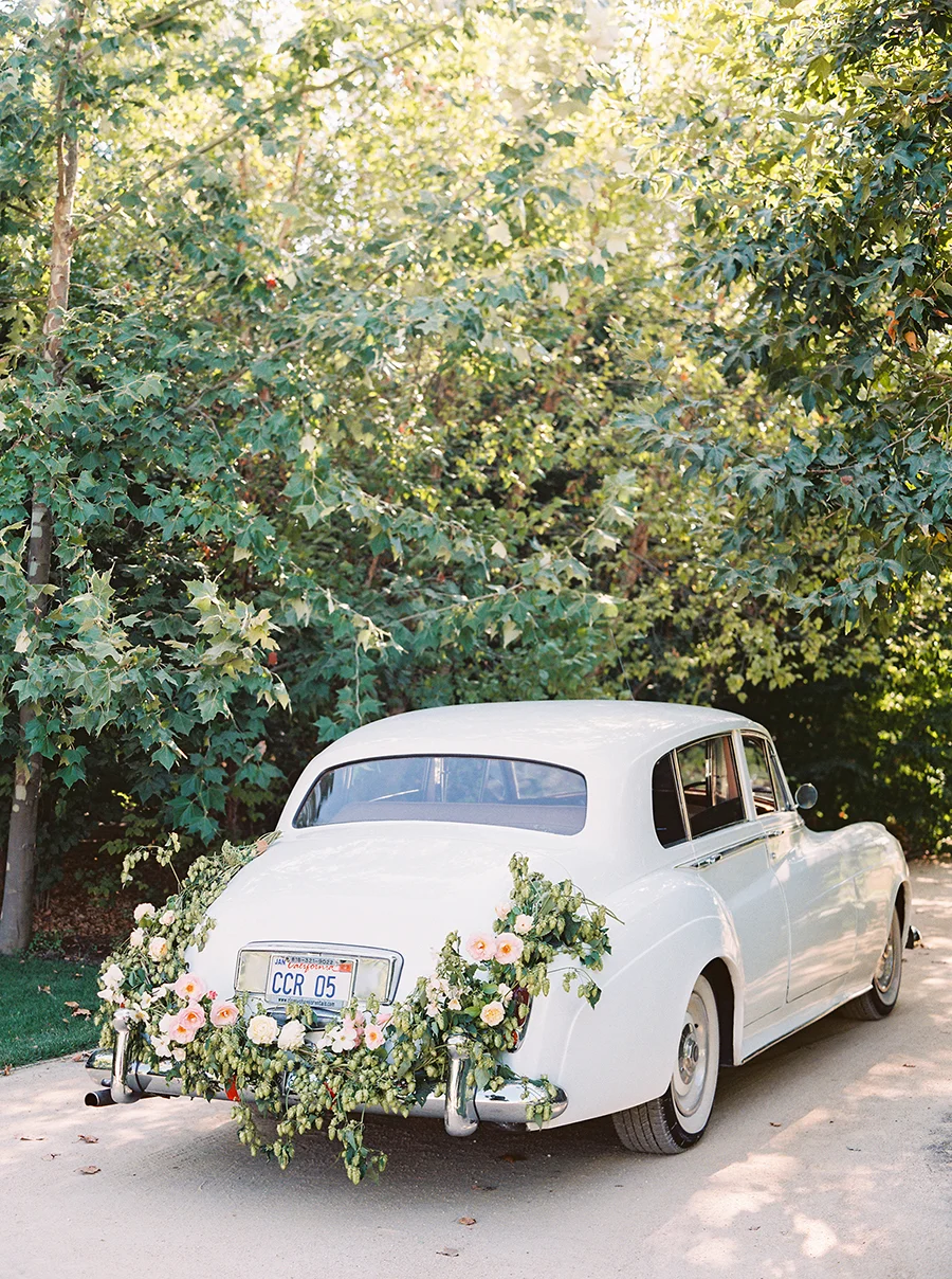 SALLYPINERA_KESTRELPARK_SHELLYANDDENNIS_ENGAGEMENTPHOTOS-154.jpg