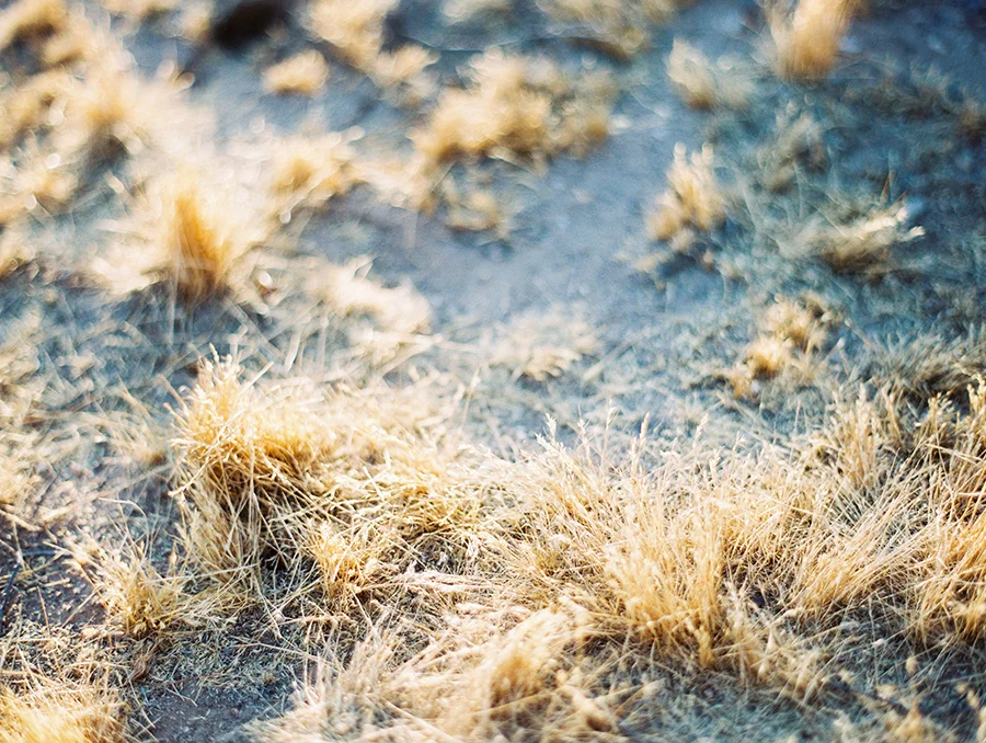 SALLY PINERA_JOSHUA TREE DESERT ENGAGEMENT SESSION-47.jpg