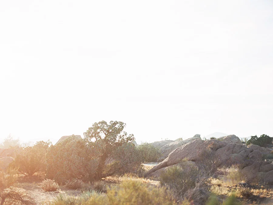 SALLY PINERA_JOSHUA TREE DESERT ENGAGEMENT SESSION-39.jpg