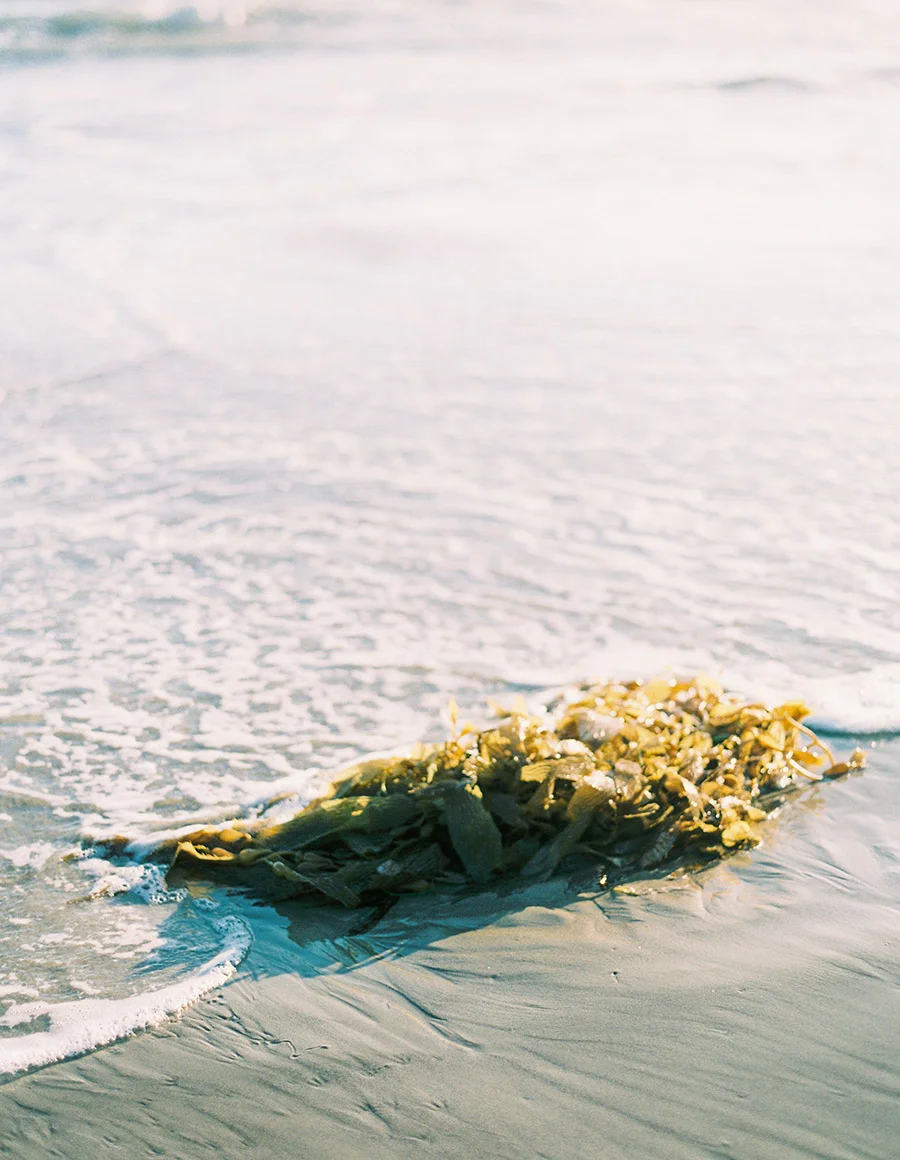 SALLY PINERA PHOTOGRAPHY_MALIBU ENGAGEMENT_HANNAH AND VICTOR-123.jpg