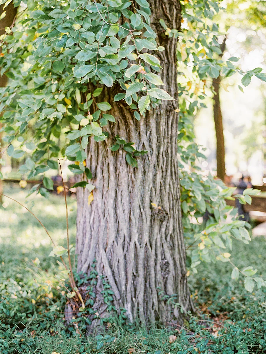 SALLY PINERA PHOTOGRAPHY_ANNABELLE CARLOS_NYC ENGAGEMENT PHOTOGRAPHY-32.jpg