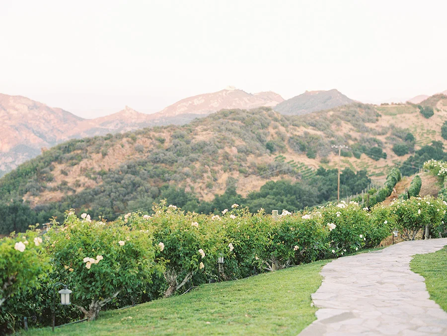 SALLY PINERA PHOTOGRAPHY_KATIE AND COLTON_MALIBU_SADDLEROCK WEDDING-695.jpg