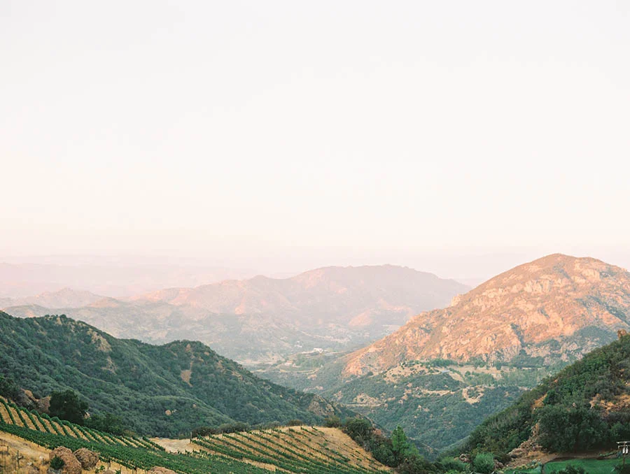 SALLY PINERA PHOTOGRAPHY_KATIE AND COLTON_MALIBU_SADDLEROCK WEDDING-935.jpg