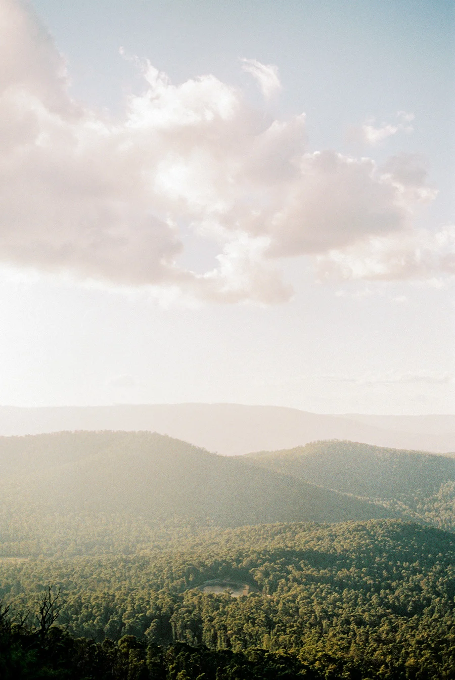 GENESIS TONY MELBOURNE WEDDING_AUSTRALIA WEDDING_YARRA VALLEY-18.jpg