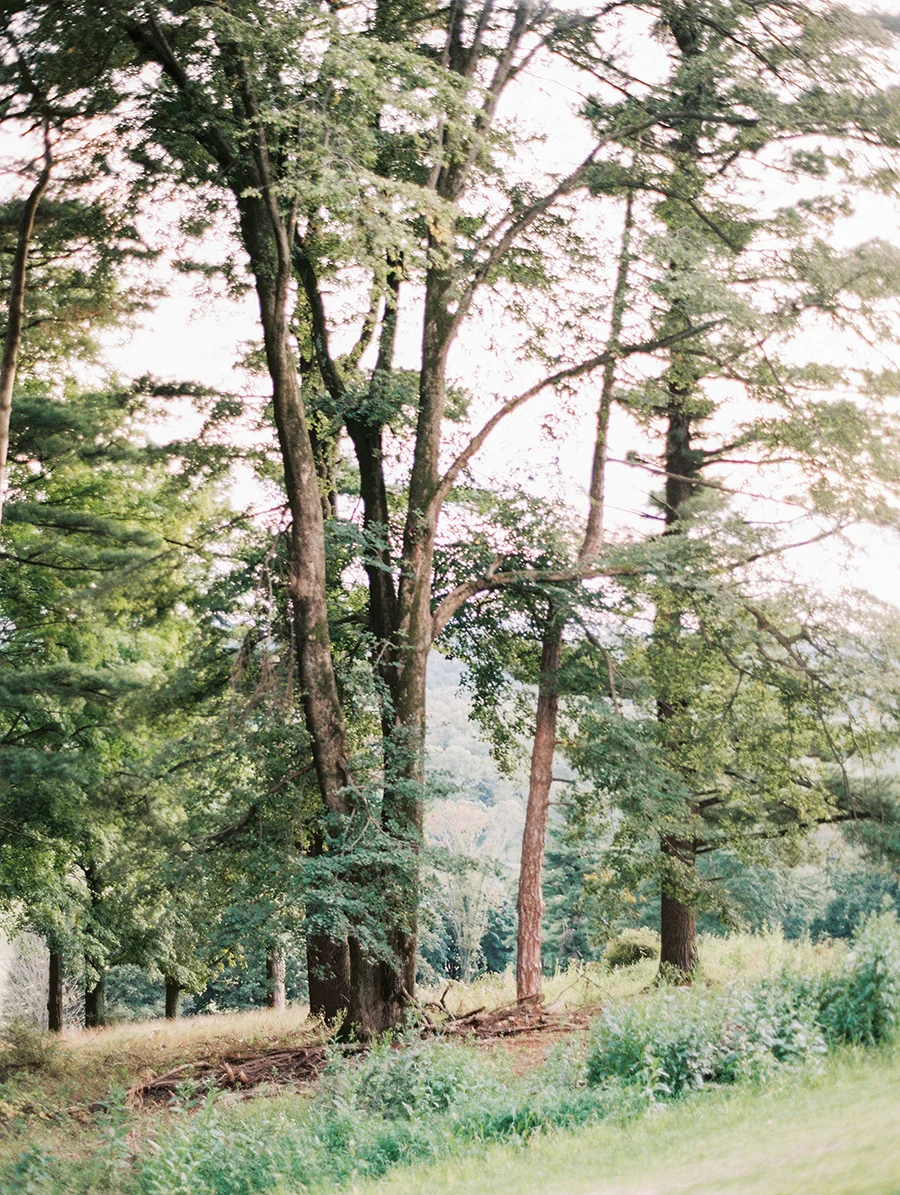SALLYPINERAPHOTOGRAPHY_NJWEDDING_KATEANDCHASE_01-15.jpg