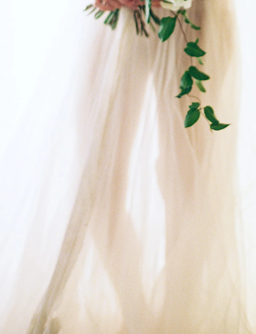 SALLY PINERA_Nashville_Transparency-30.jpg