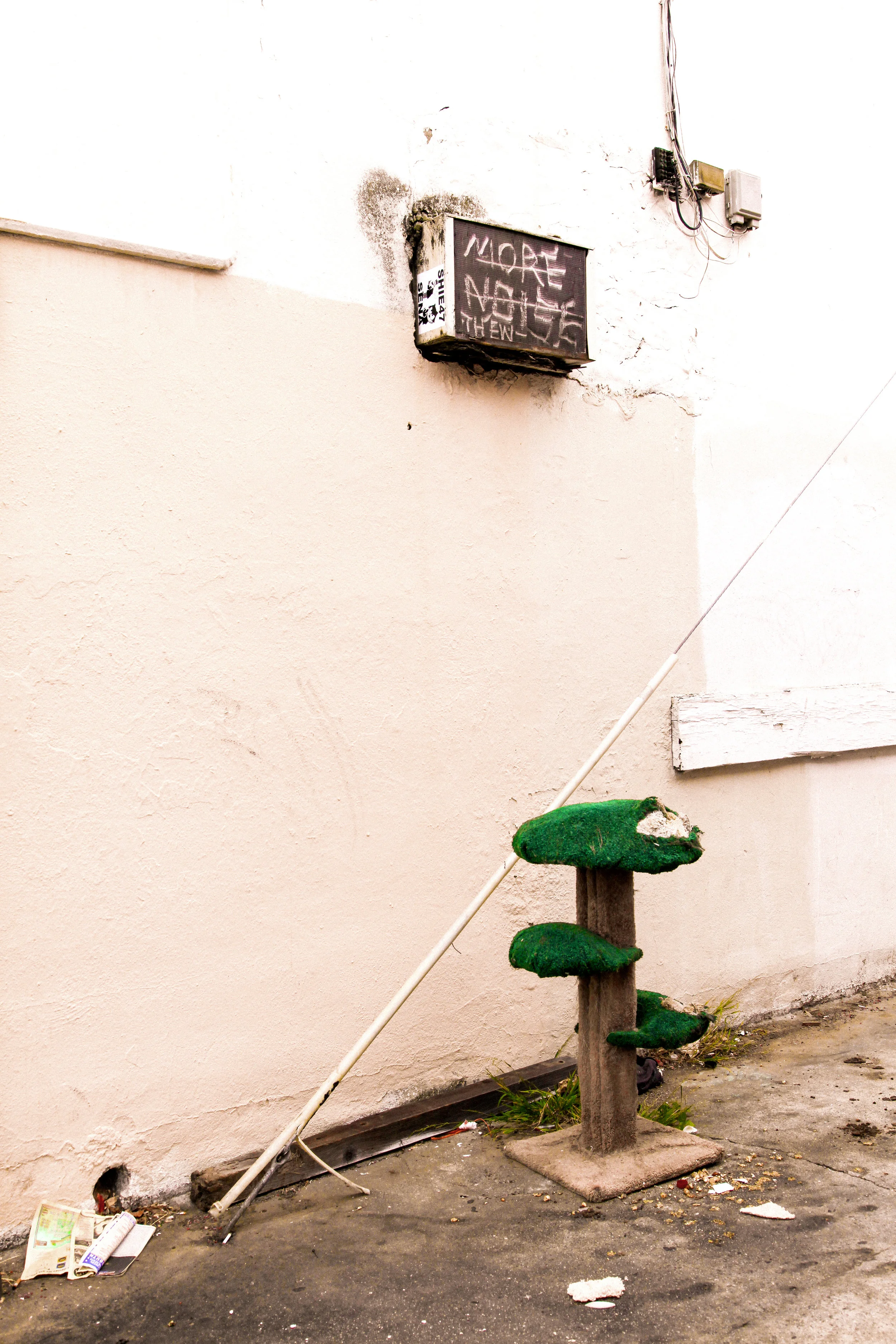 _MG_3449.jpg