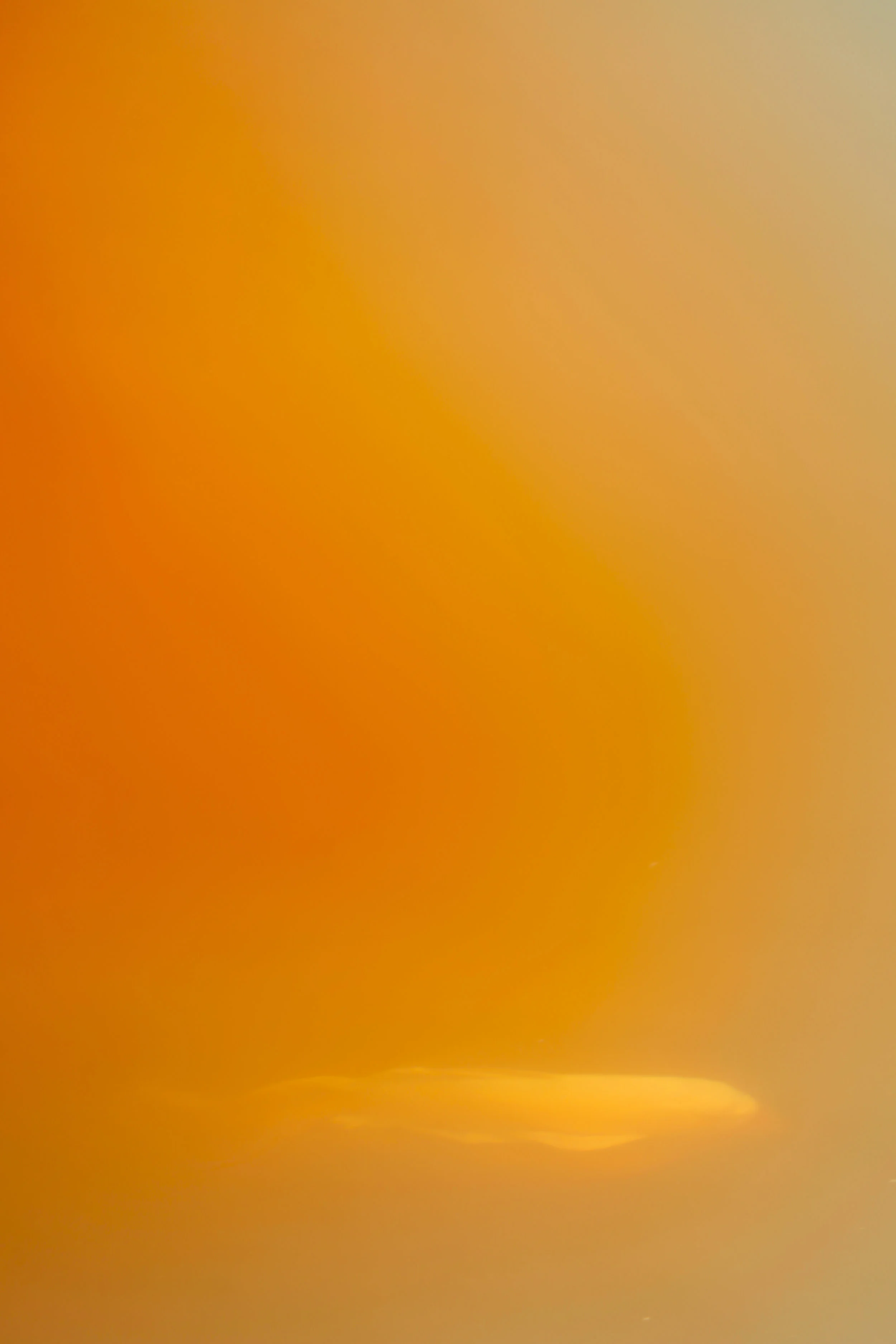_MG_1843_2.jpg