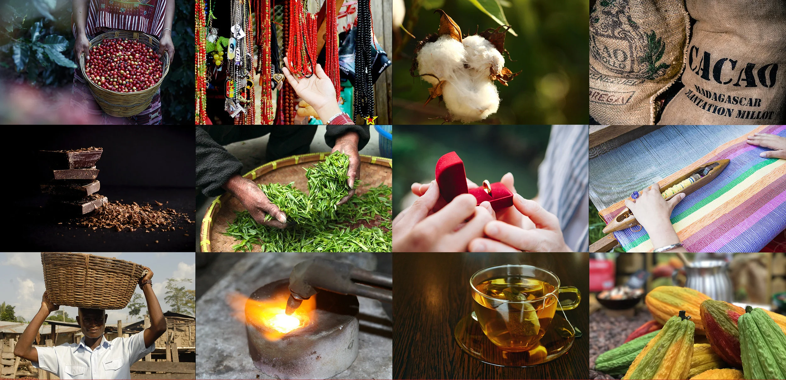 Can People, Planet &amp; Profit Coexist? Forced Labor &amp; Global Supply Chains