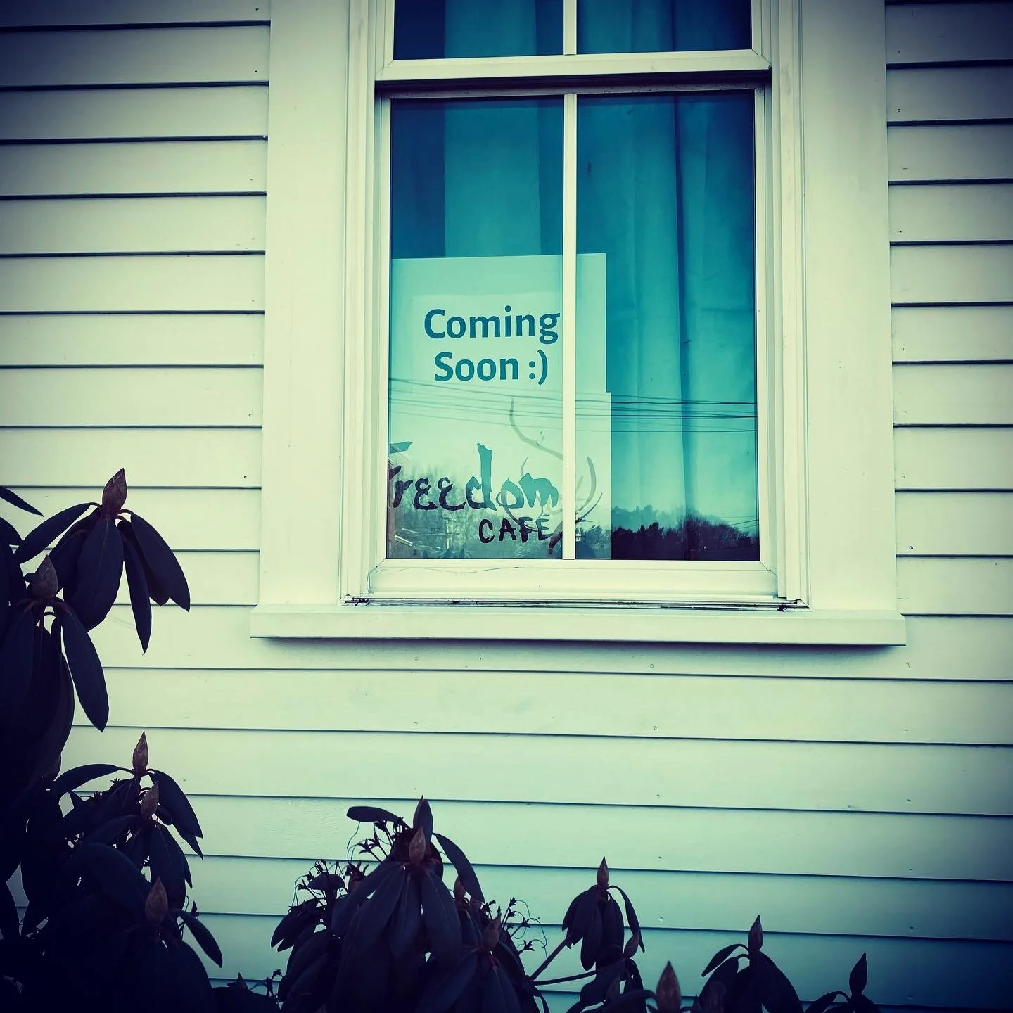 The Freedom Café is Moving - and we need your help!