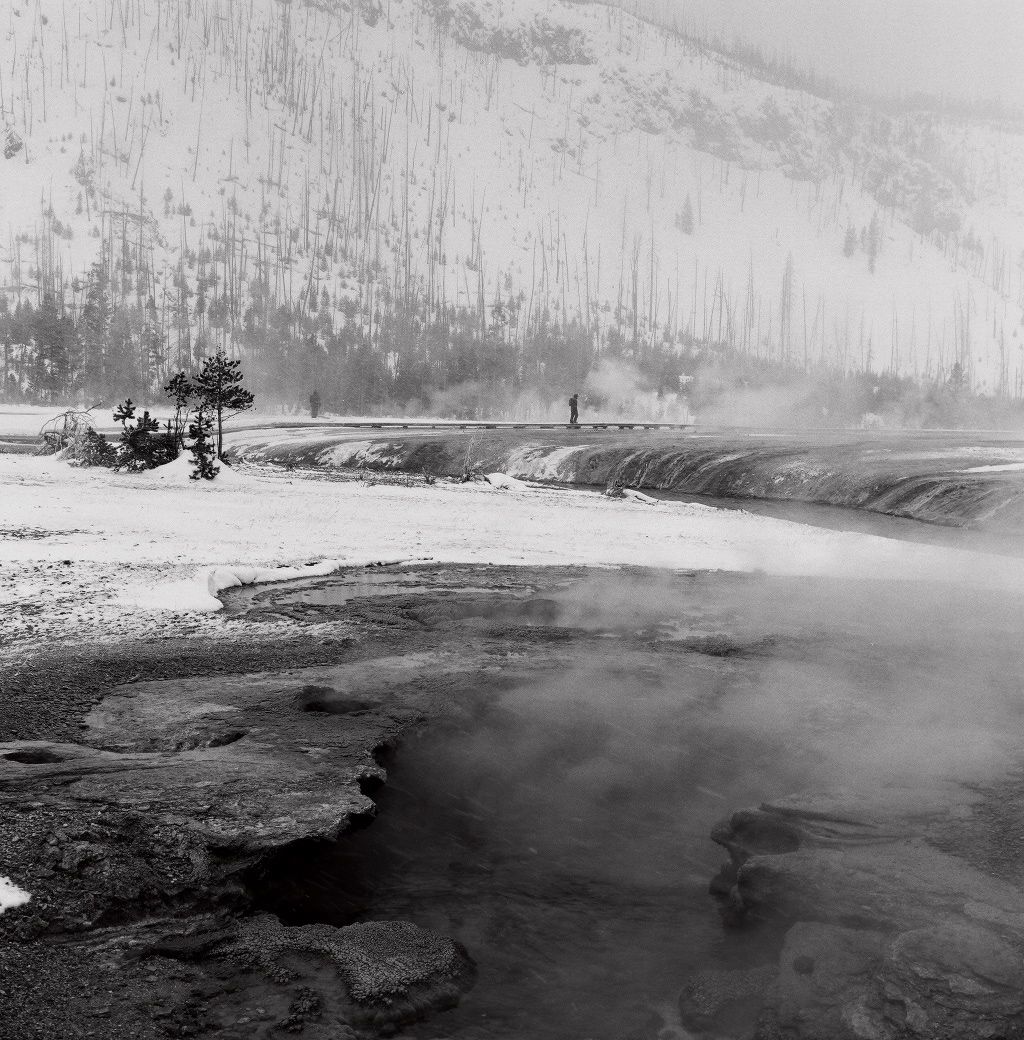  Jacksonhole Series #1, 2005 (Yellowstone Park) 