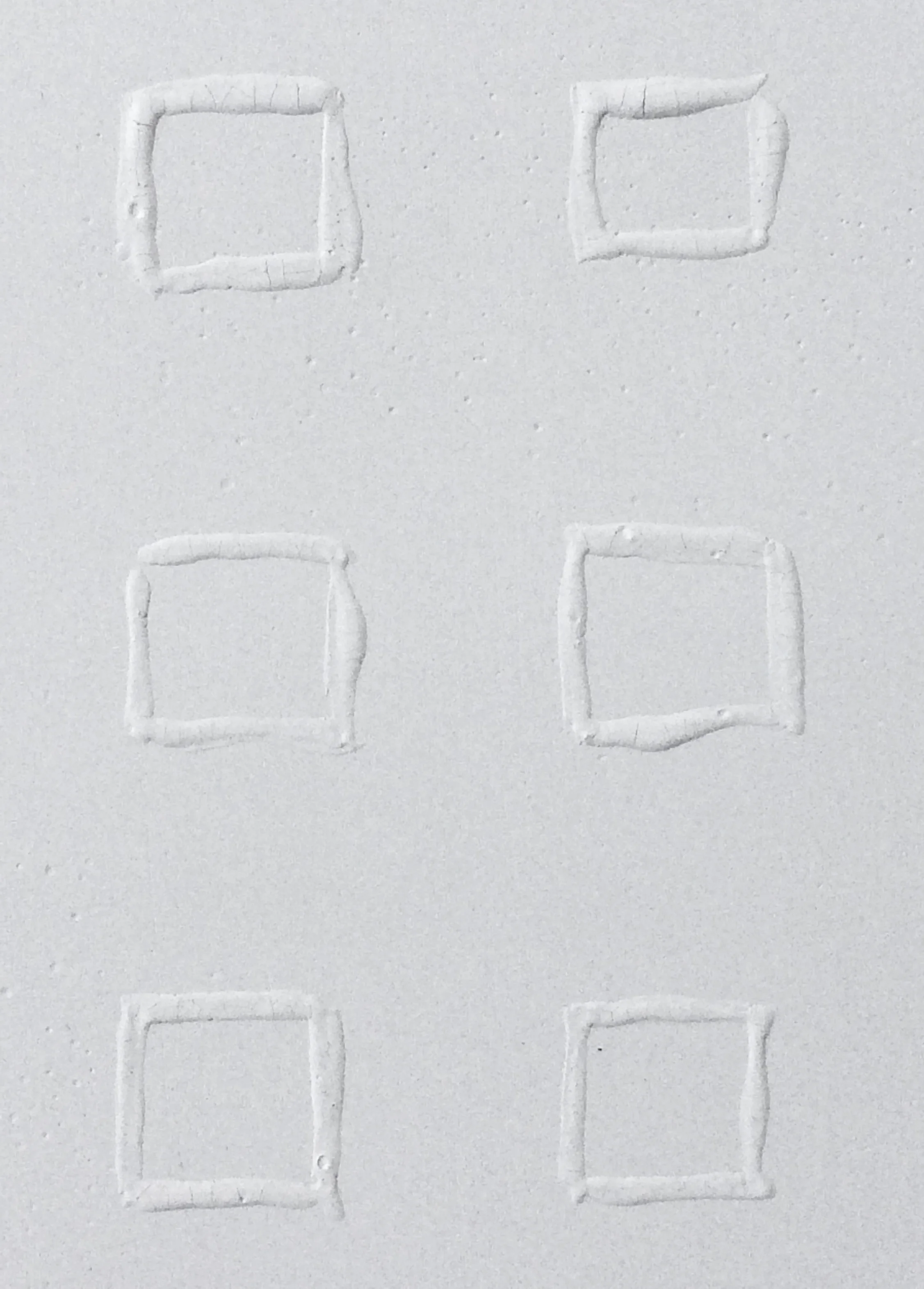 Fossil (detail)
