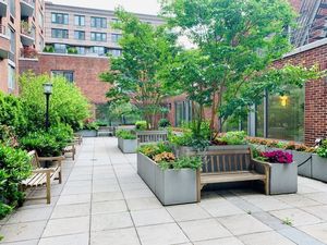 garden.jpg