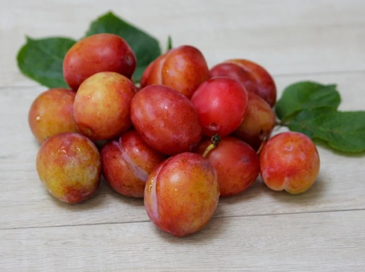 Plum Plum! Savoury Plum Sauce and other ideas