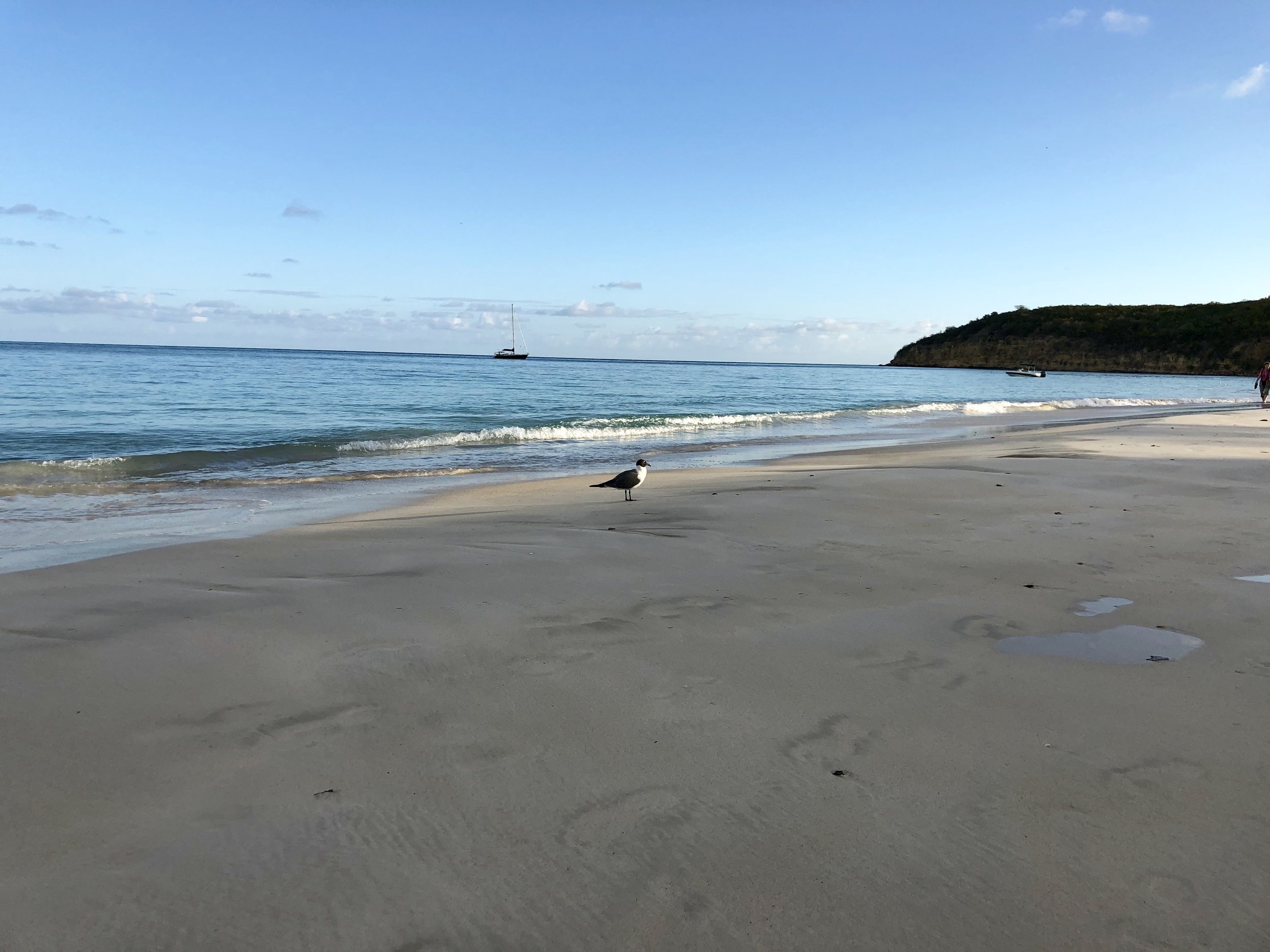 Walking on a Beautiful Beach - It’s Good For Your Microbes Too!