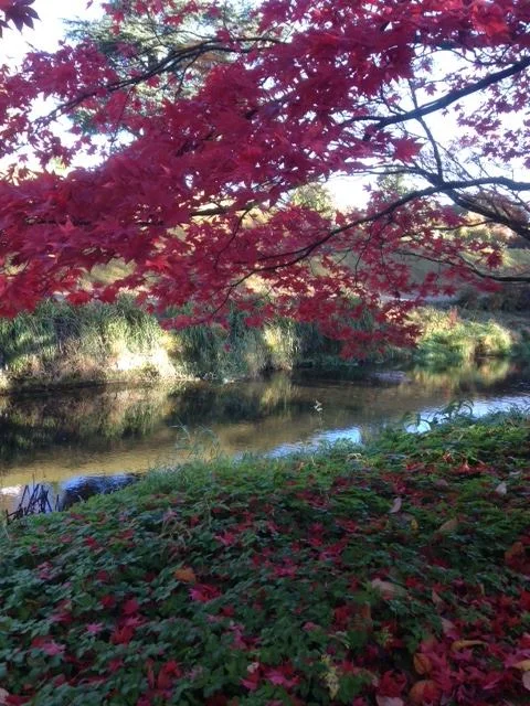birr.jpg