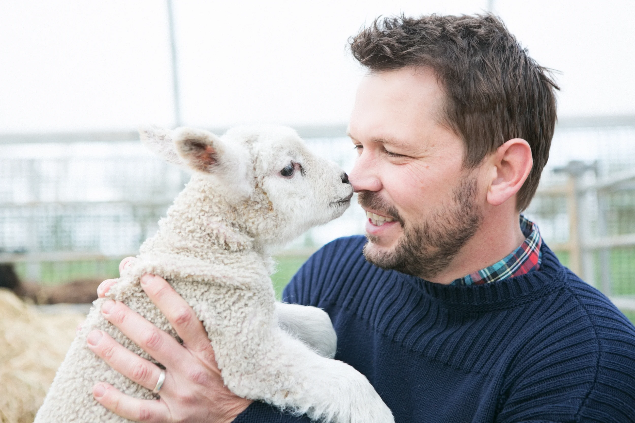Jimmy Doherty TV presenter profile 