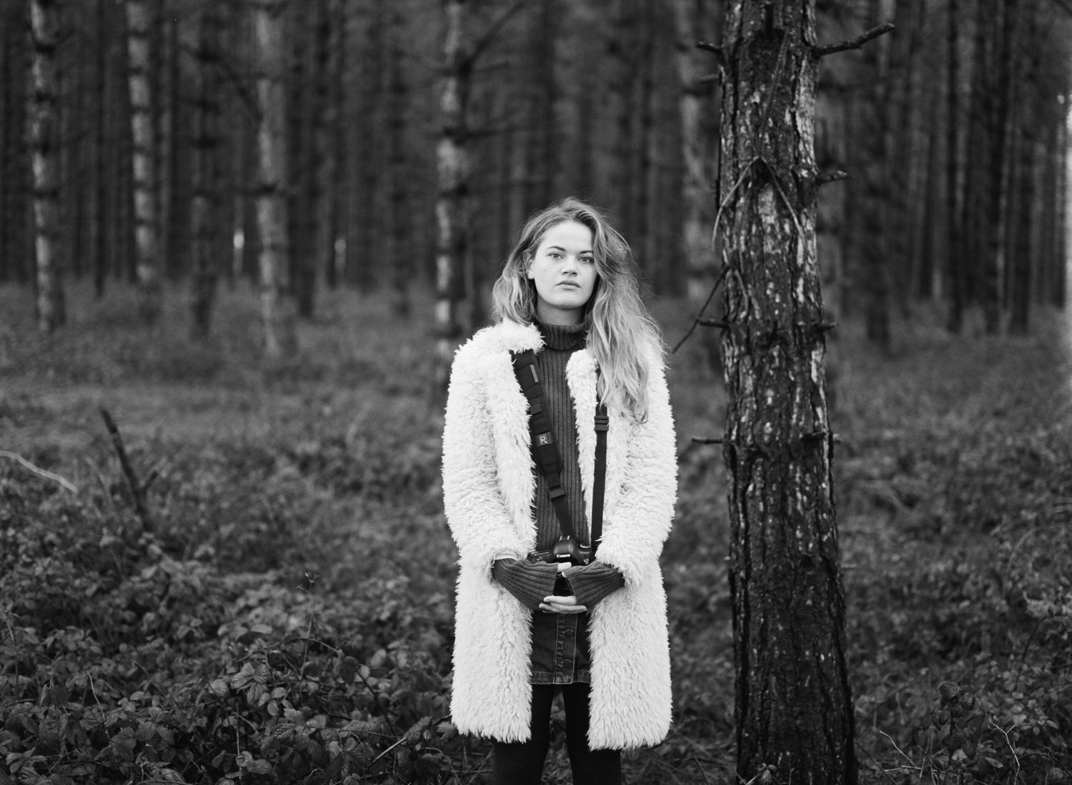 Chillesford Woods