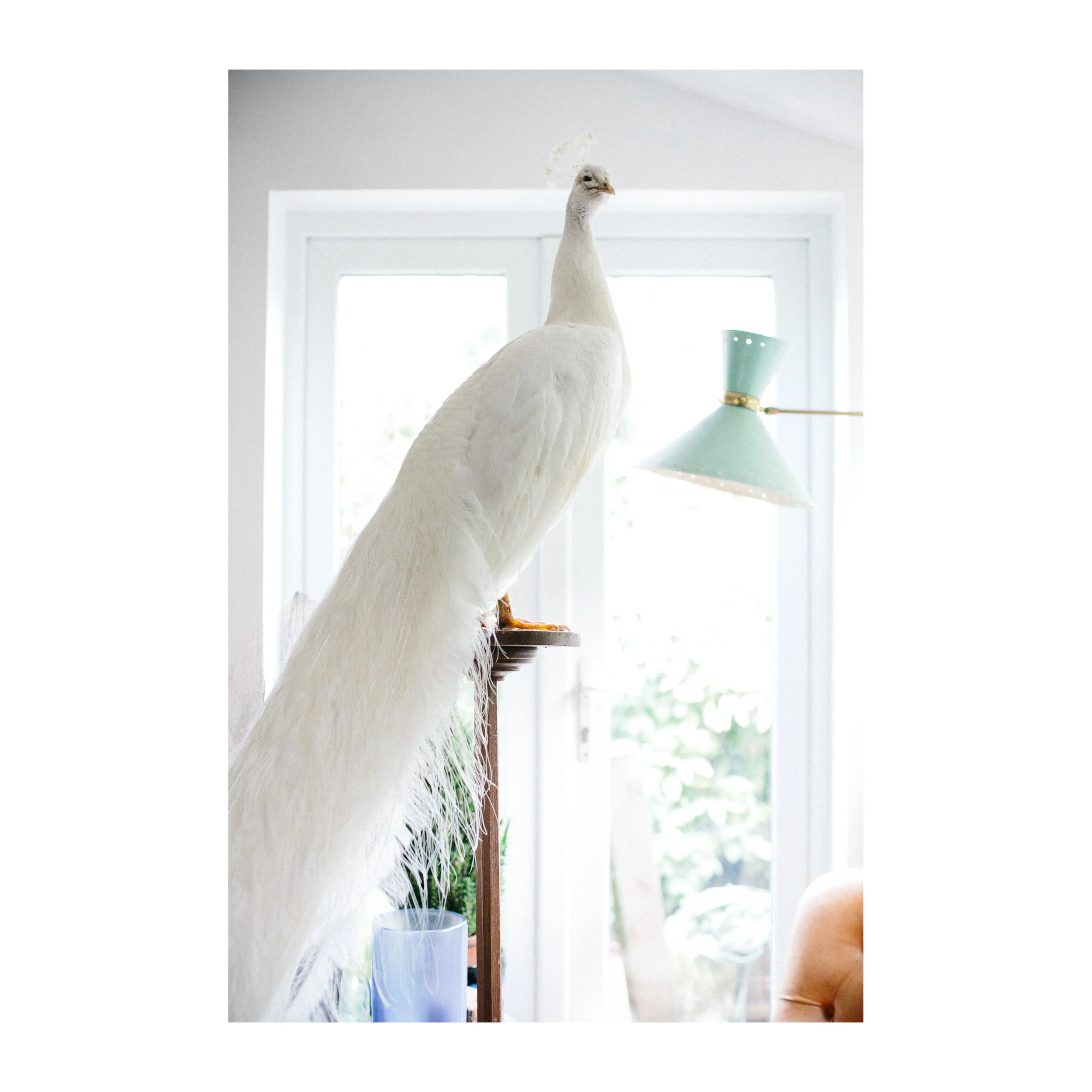 robdabank-14.jpg