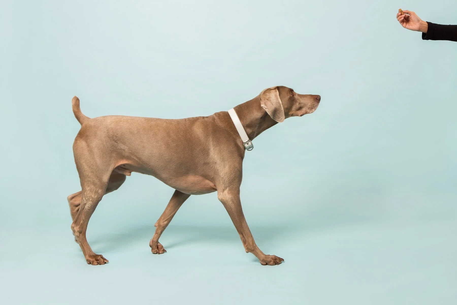 Skylos hires edits-17.JPG