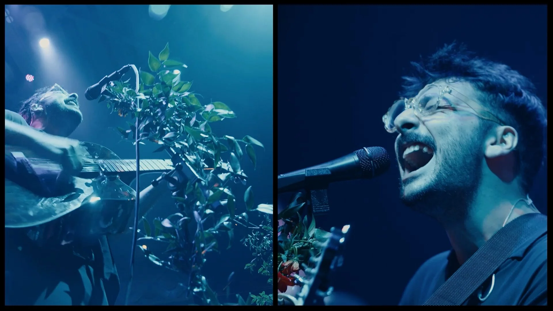 Foxing_1.1.2.jpg