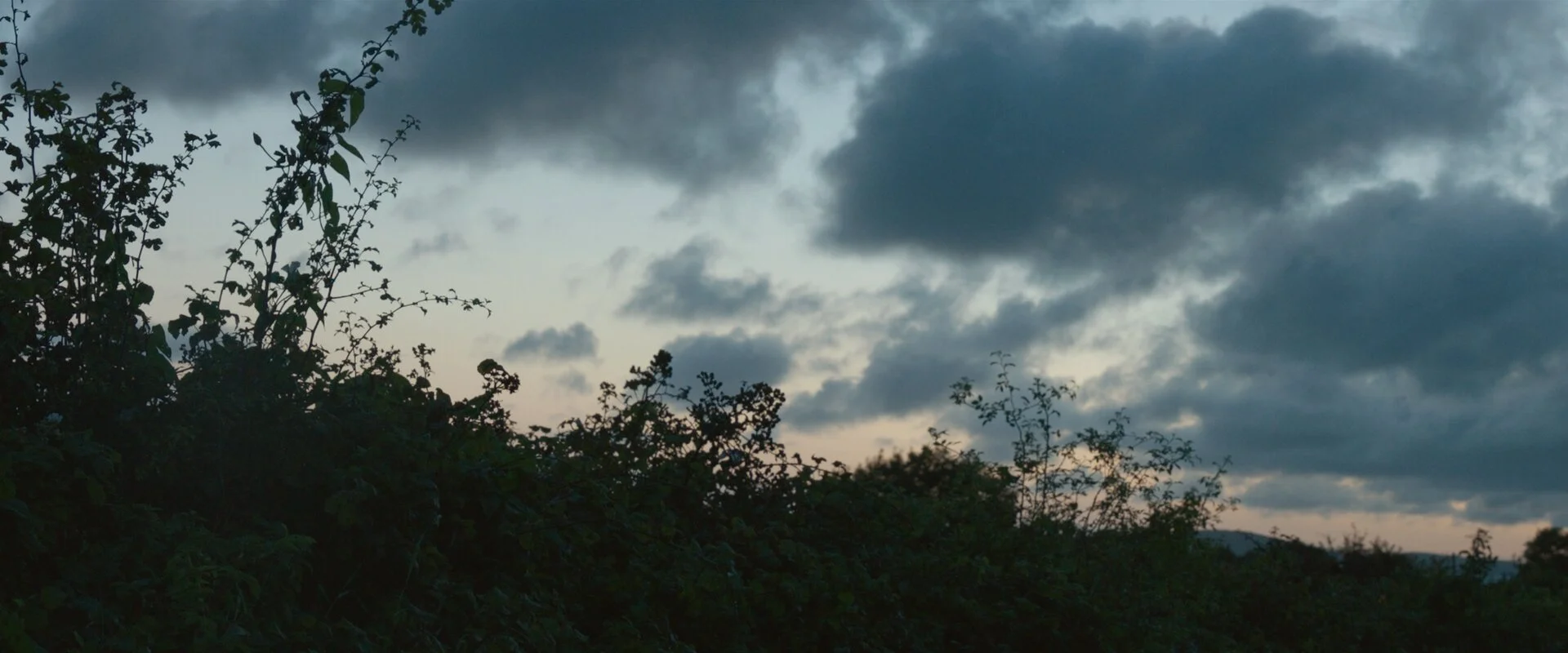 AMFJ_Stills_1.80.1.jpg