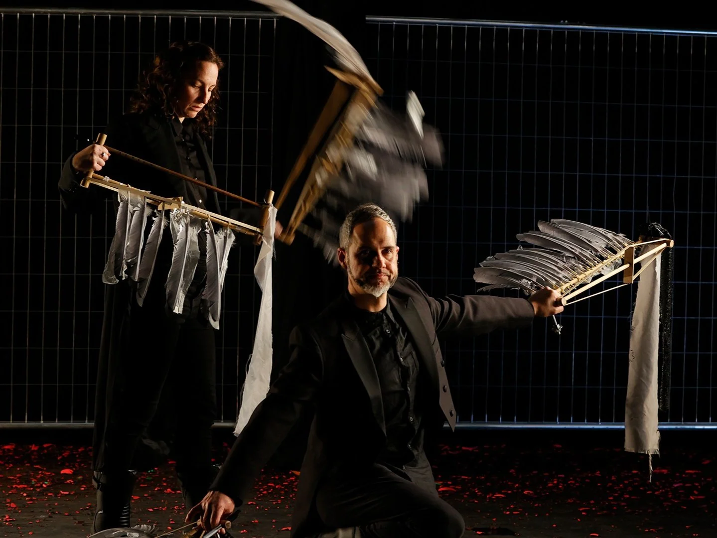 Speak Percussion: Pigeons