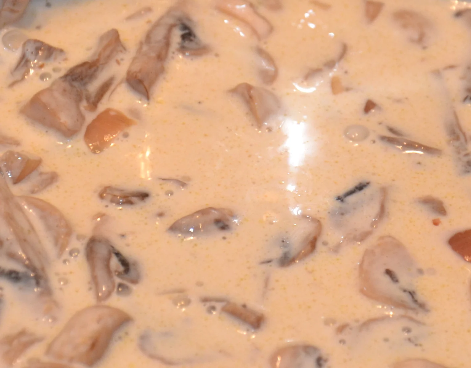 Op reis entrecote champignonsaus_A&D1.JPG