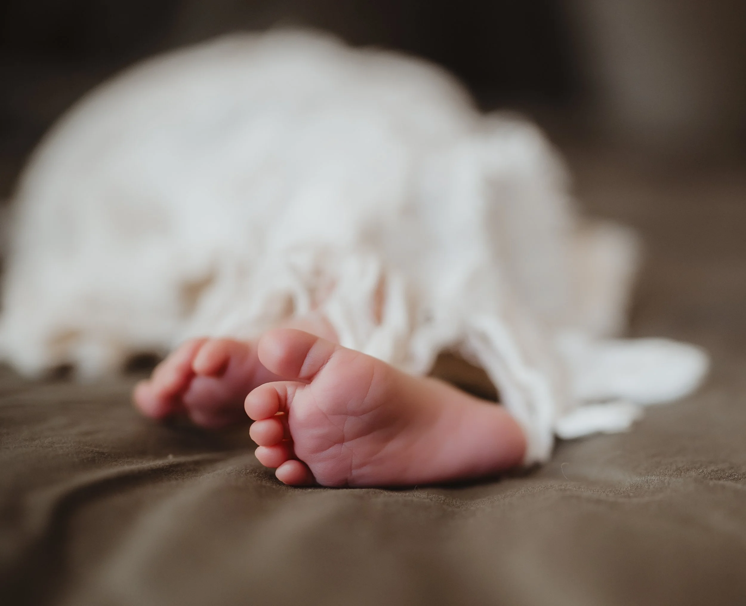 Lifestyle photography in Rock Hill and Fort Mill, SC