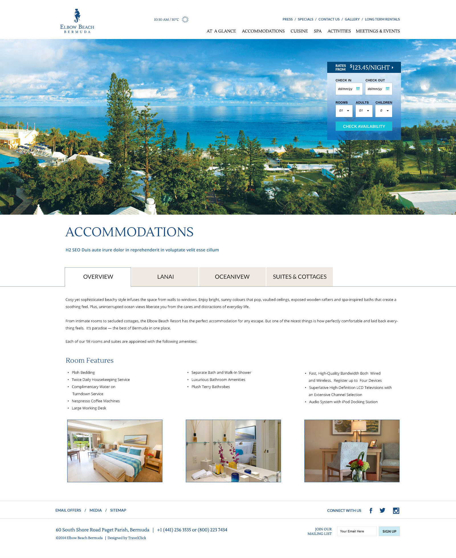 Website Design Elbow Beach Bermuda (Copy) (Copy)