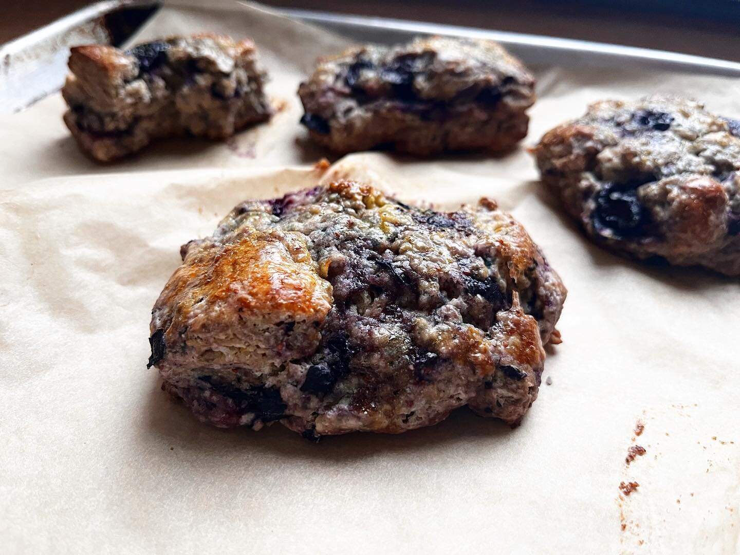 Snow Day on a Monday 
❄️😱
Blueberry-Sourdough Scones

#sourdough #frozenblueberry #scones
#has potential  @careynotcarrie @redwagonplants