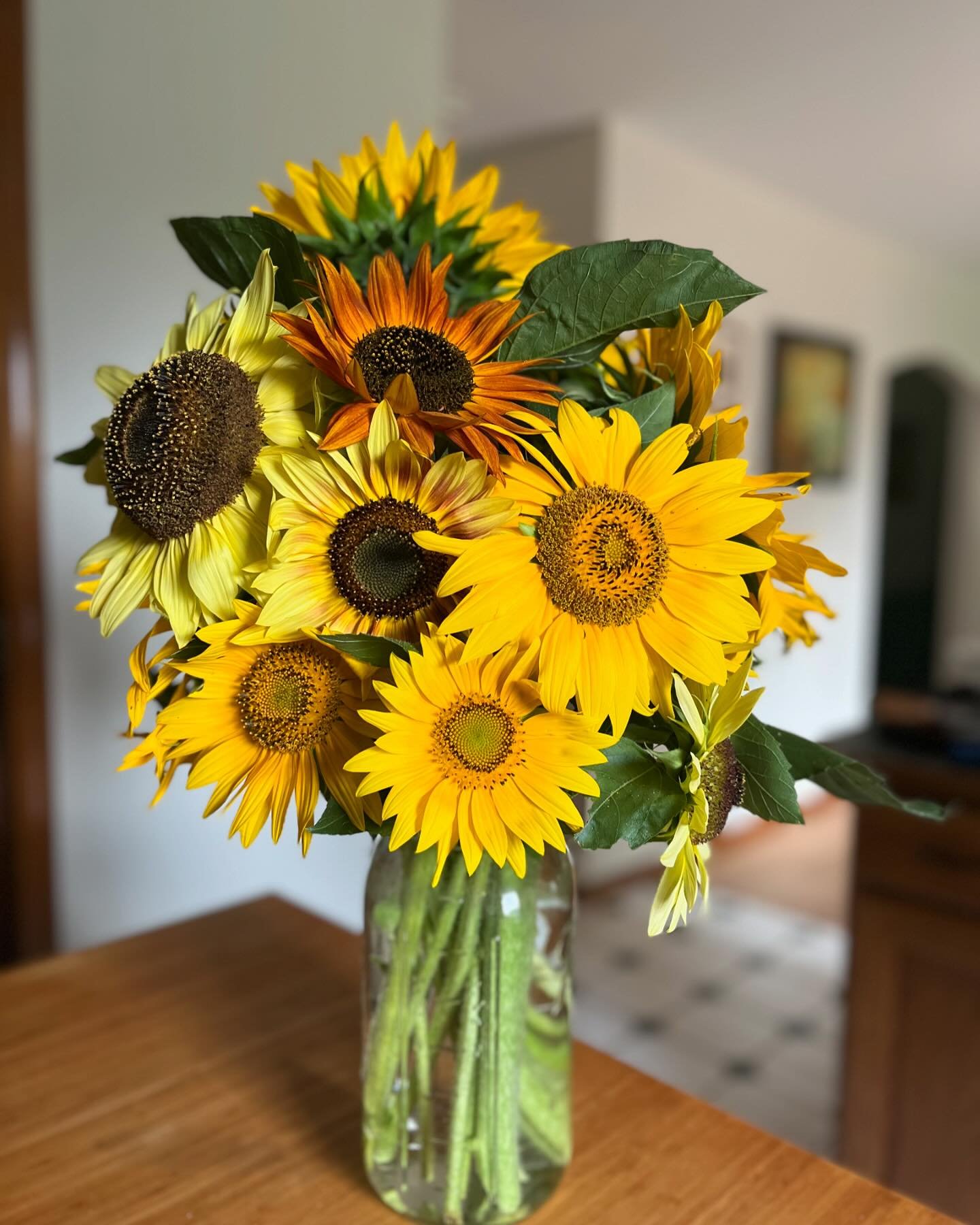 First sandwich Sunday @redwagonplants means #sunflowers for me

#backyardgarden #shouldbeweeding 
#masonjar #homegrownflowers