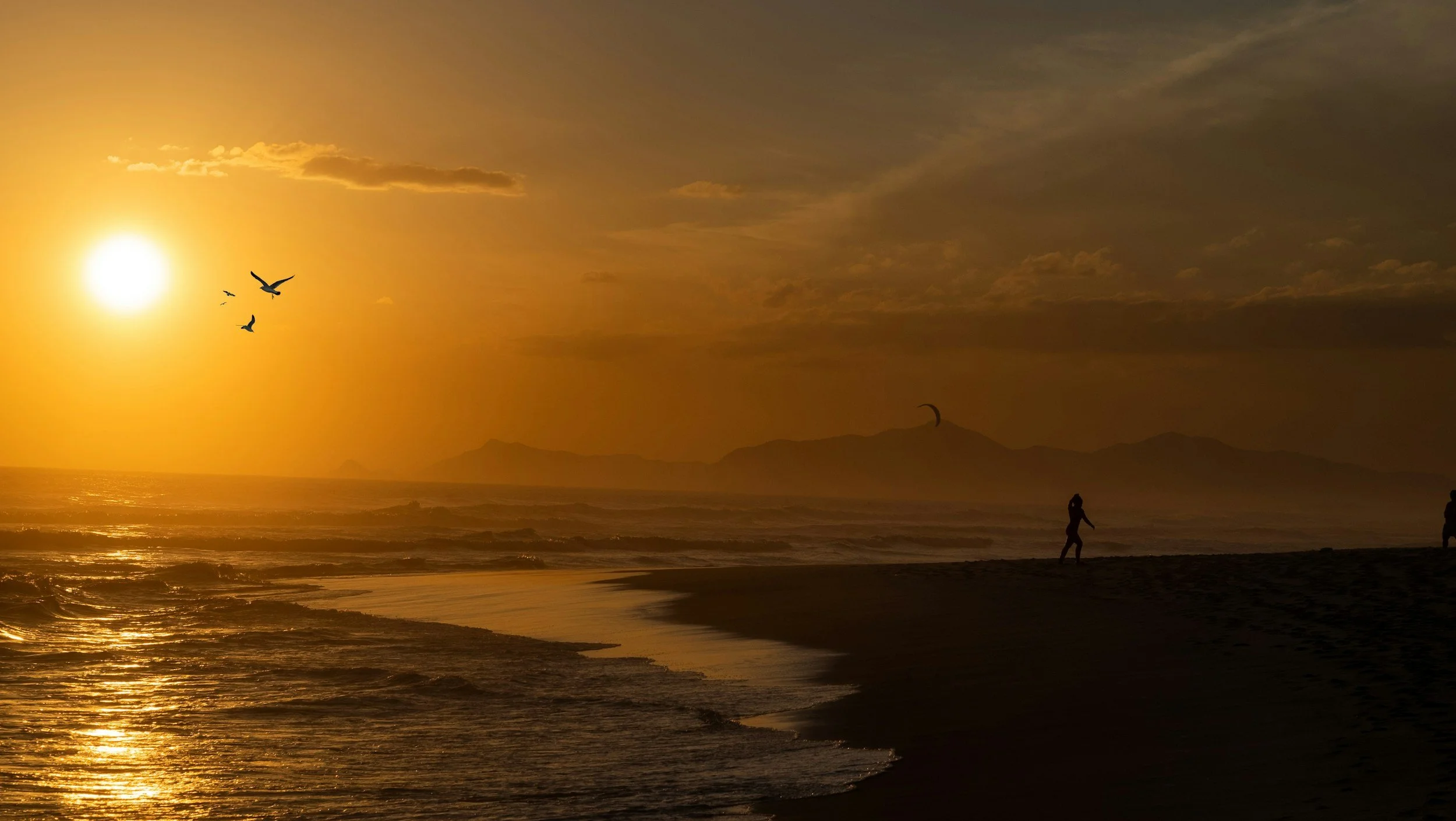 unsplash-image-1Y1Vs6ZQXpg.jpg