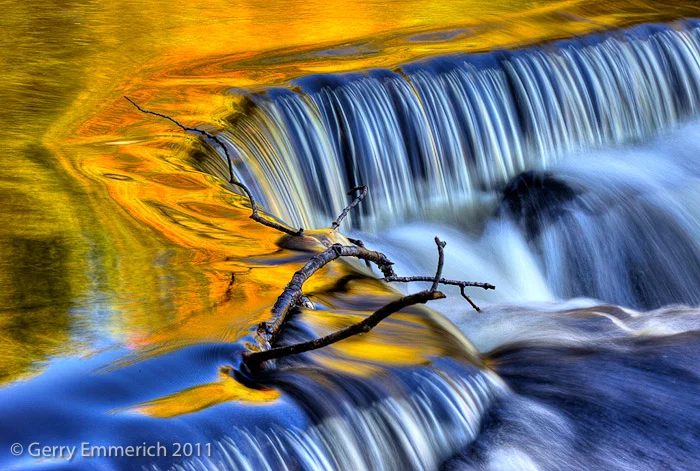 Bond_with_Branch_reverse_2.jpg