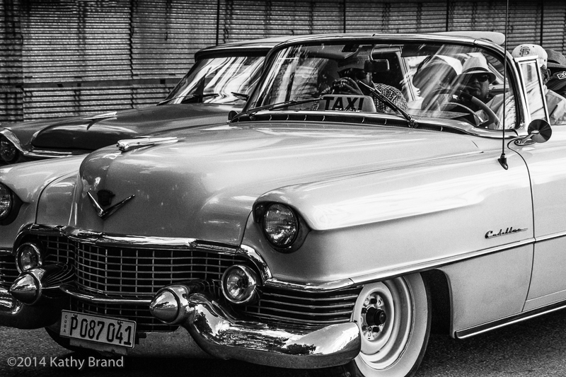 IMG_3790-Edit.jpg