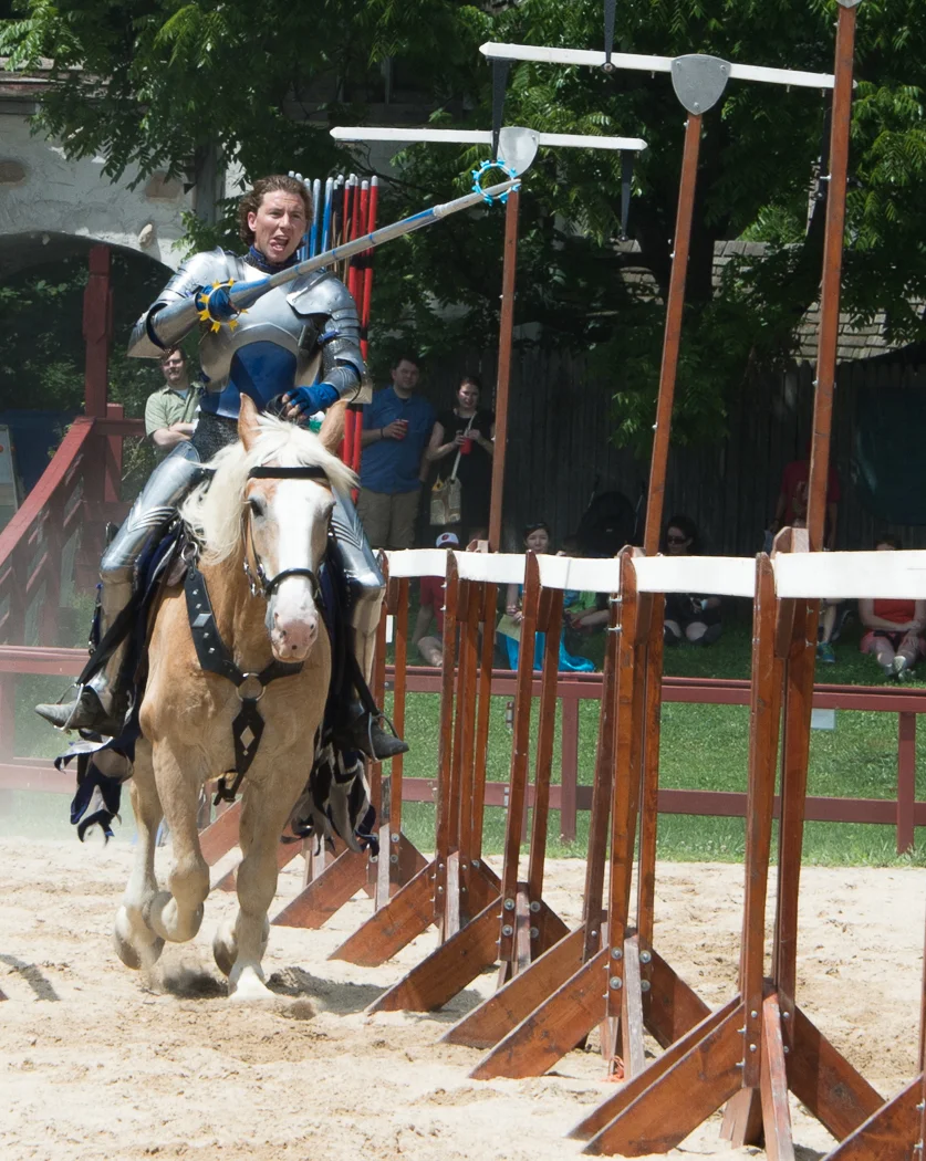 Rings At The Joust.jpg