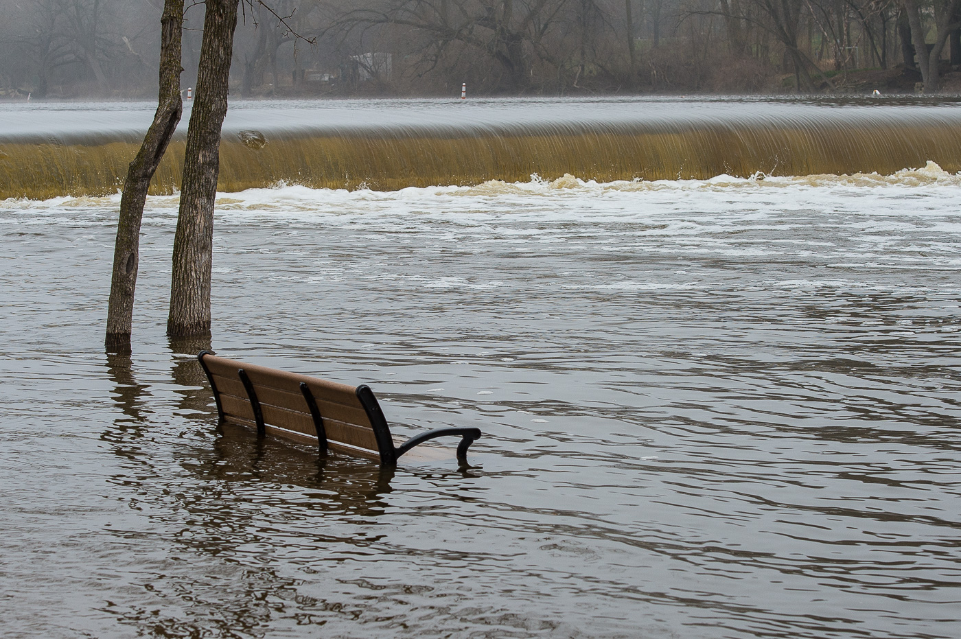 Spring By River.jpg