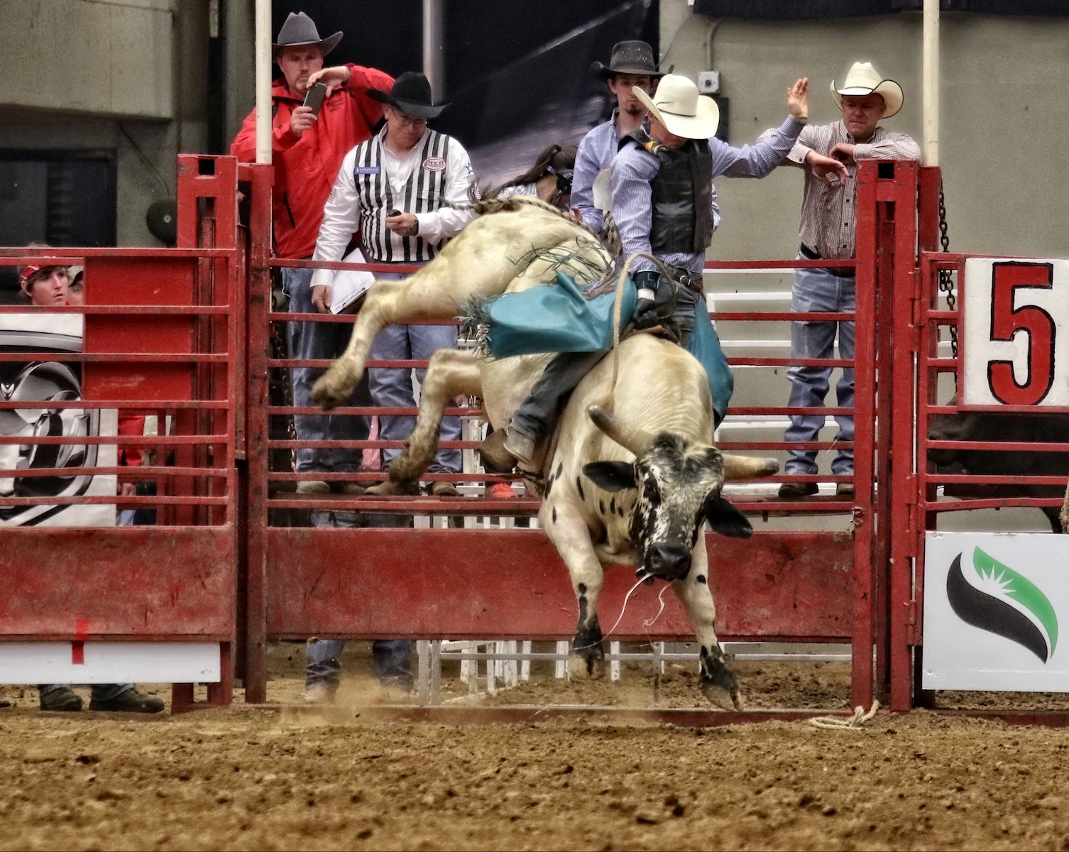 MWHF Madison WI 2016_0619.jpg