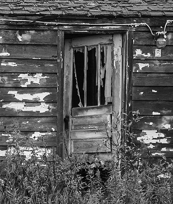 Photo by Kathy Braun, FPSA, PPSA – Winner