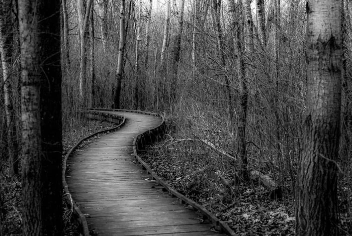 Photo by Jason Heckendorf – Winner