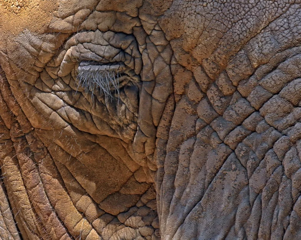 Photo by Trish McCoy – Winner
