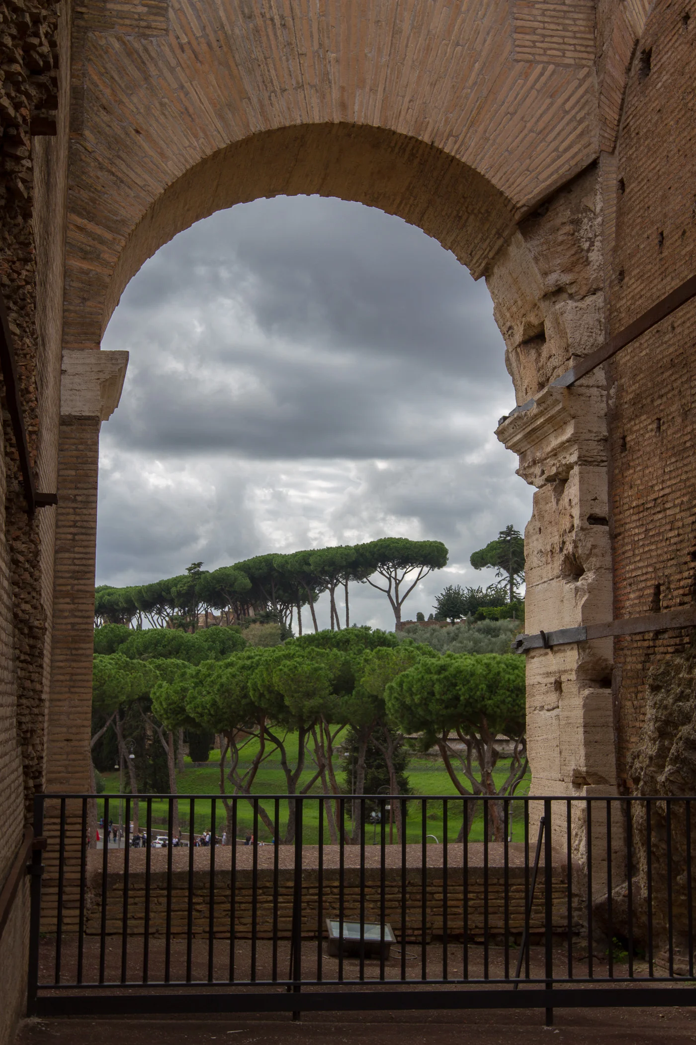 View From The Colosseum