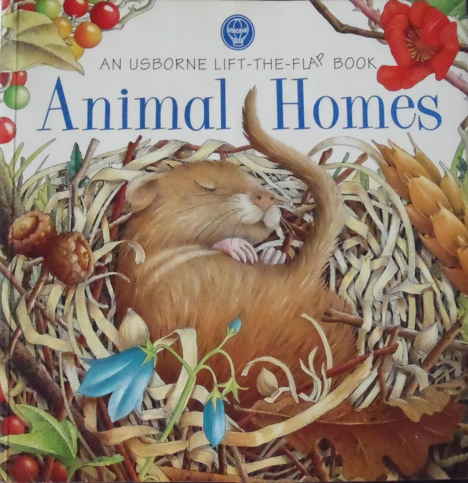 animal homes.JPG