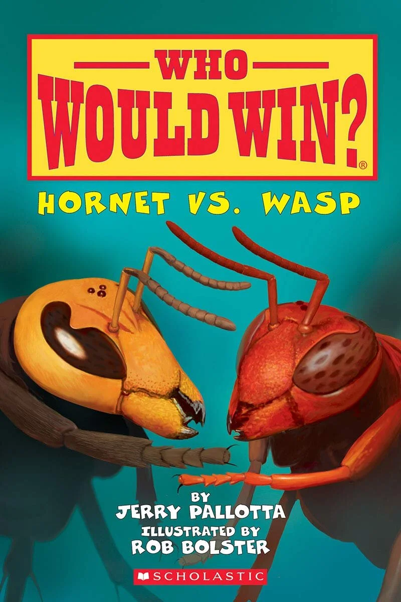 hornet vs wasp.jpg